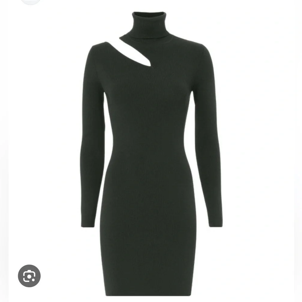 A.L.C West Turtle Neck Sweater Dress!